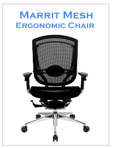 Maritt Midback Mesh | Ergonomic Chair | LIZO Singapore